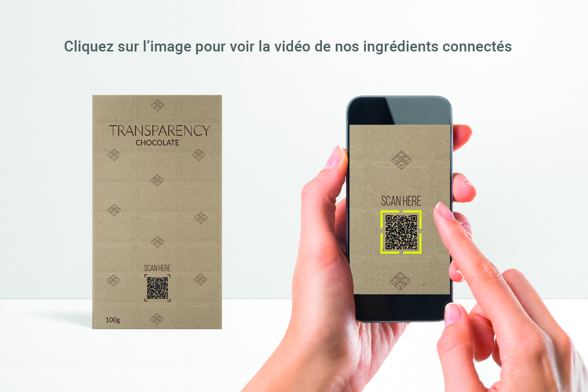 VISUEL TRANSPARENCY - Chocolat